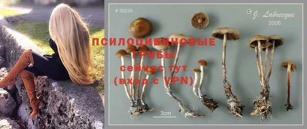 мет Алзамай